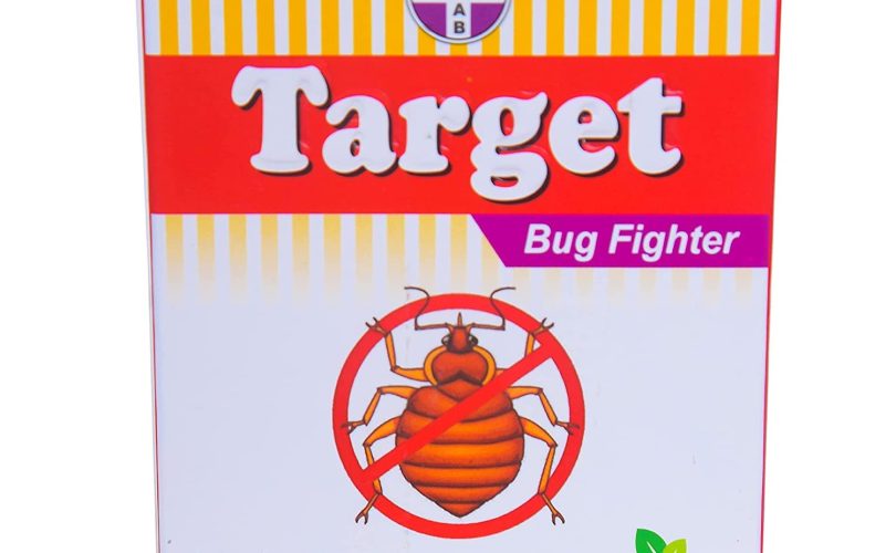 The Top Mistakes People Make with Bed Bug Pest Control
